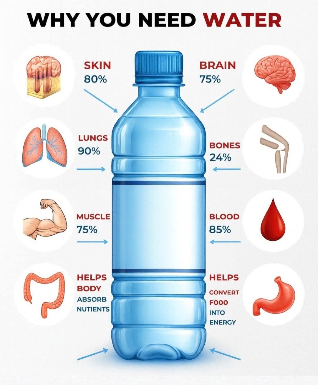 Health &amp; Wellness